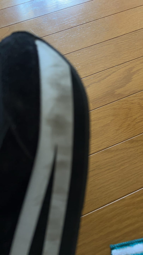 優質洗鞋刷（豬毛） 的顧客照片